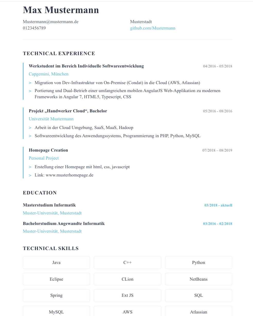 Technical Resume Template